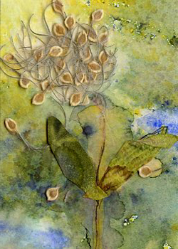 OCTOBER AWARD:  Pollination Hannah Pinkerton Madison WI collage SOLD